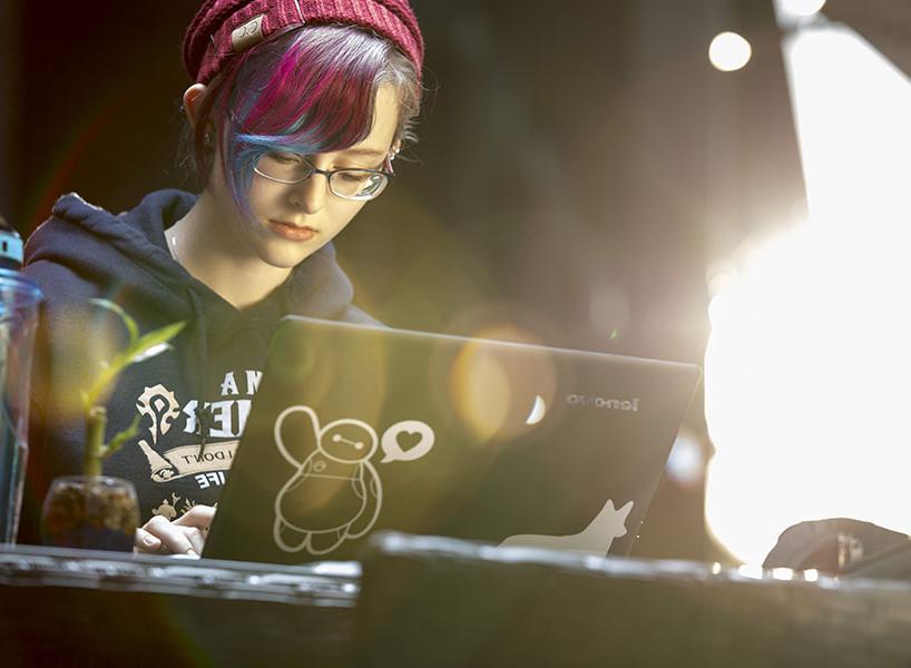 individuals working on laptops